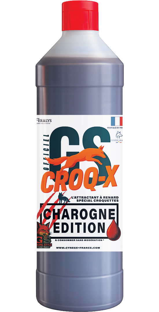 GS CroQ-X "Charogne Edition "